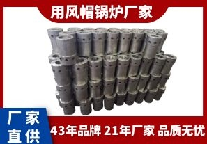 用風(fēng)帽鍋爐廠(chǎng)家-質(zhì)優(yōu)的品質(zhì)從品牌入手[江河]